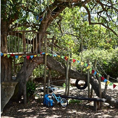 Shepherd'S Tree Backpackers Knysna Kültér fotó