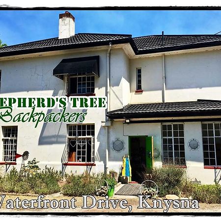 Shepherd'S Tree Backpackers Knysna Kültér fotó