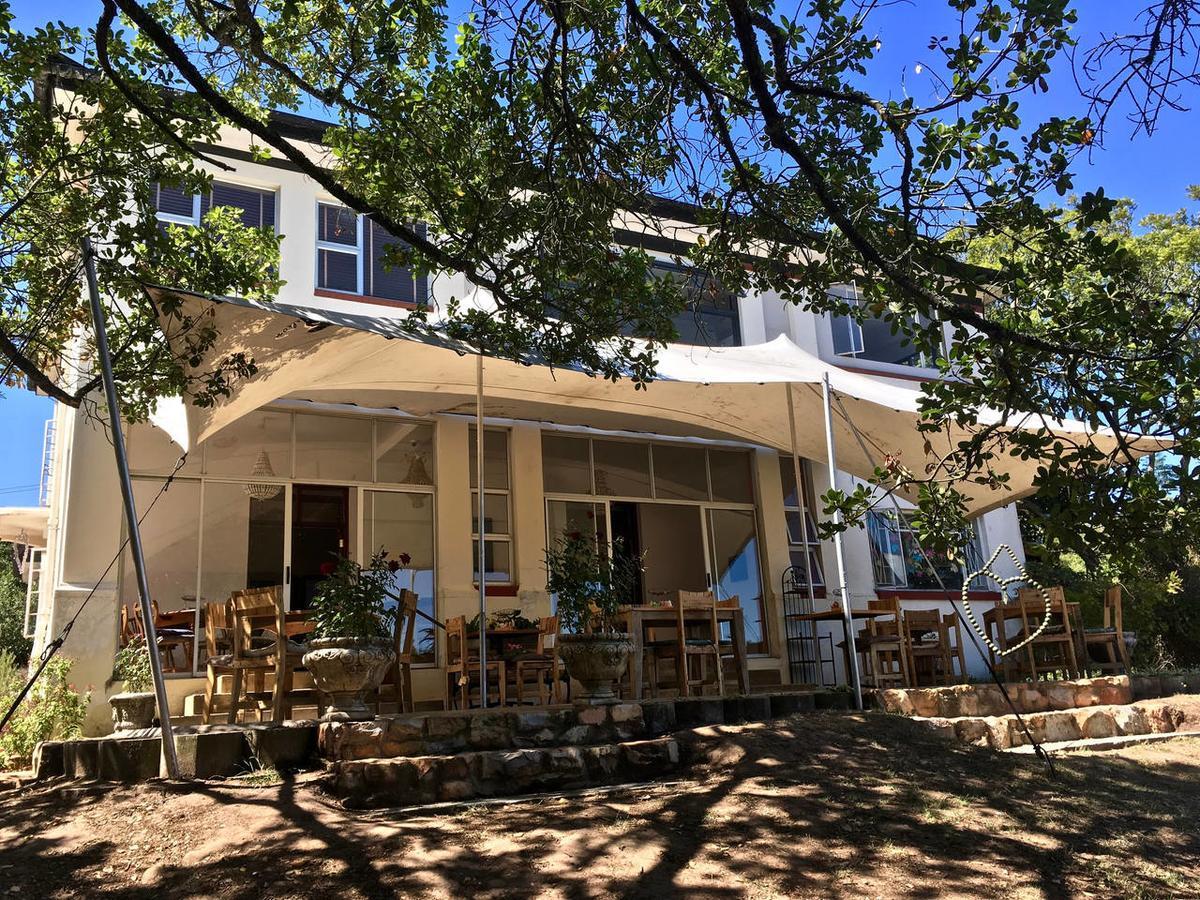 Shepherd'S Tree Backpackers Knysna Kültér fotó