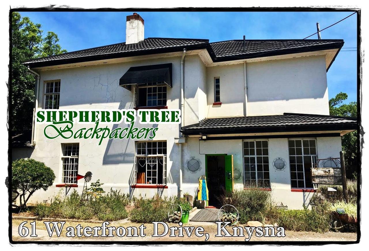 Shepherd'S Tree Backpackers Knysna Kültér fotó
